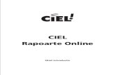 Manual Utilizare CIEL Rapoarte Online PDF
