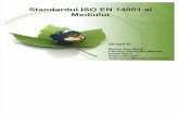 Standardele ISO 9001 Si 14001 - Grupa 6