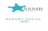 RAPORT SME 2008