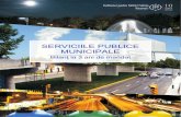 IPP Servicii publice 2011