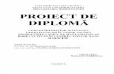 Magaon Marinela - Proiect de Diploma