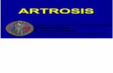 14.2 - Artrosis (Cont)
