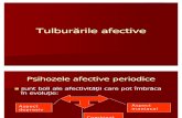 Curs Nr 7 Tulburarile Afective