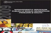 Managementul Serviciilor Publice La Nive