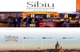 Prezentare Sibiu 2011
