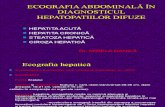 Ecografia in Diagnosticul Hepatopatiilor Difuze