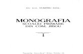 Dumitru Ilea - Monografia Scoalei primare din Jibou