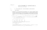 algebra_liniara.matrice.sisteme liniare