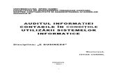 7-Auditarea-Sistemelor-Informatice_ C0RNEL