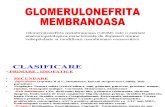 Glomerulonefrita membranoasa