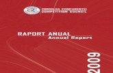 Raport anual 2009_18616ro