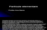 particule elementare10