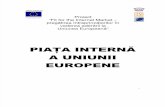 Piata Interna PDF