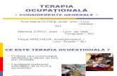 Seminar Autism Timisoara II Rom