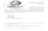 4.Anatomia capului