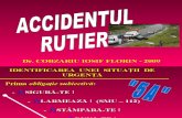 CURS 6 Accident Rut-Inconstienta-PLS