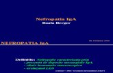 Nefropatia IgA - Boala Berger