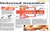 Sistemul imunitar - info