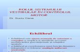 C17 - Rolul Sistemului Vestibular in Controlul Motor
