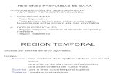 3ra Cl. Cabeza Fosas + Degraba - Dr. Espinoza