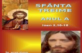 Preasfanta Treime - textul evanghelic (A)