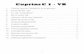 CuprinsC 1 - VB