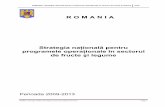 ROMANIA / Strategia naţională pentru programele operaţionale în ...