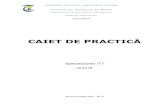 Caiet de practică - Anul III IT