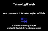 interacţiune web: ajax