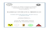radioactivitatea mediului - indrumator pentru seminar si laborator