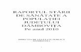 Raportul starii de sanatate al populatiei judetului Dambovita pe anul ...