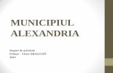 raport de activitate al primarului municipiului alexandria pentru anul ...