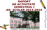raport de activitate semestrul i 2013-2014