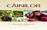 ABC-ul Câinilor ABC-ul Câinilor ABC-ul Câinilor ABC-ul Câinilor