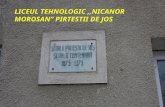 Liceul Tehnologic ,,Nicanor Morosan* Pirtestii de Jos
