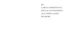 iii. caracteristicile social-economice ale populaţiei de romi