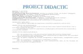 proiect didactic - ocaua lui cuza.doc - Editura EDU