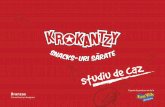 Krokantzy - Studiu de caz - Branzas
