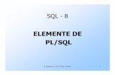 Elemente de PL/SQL