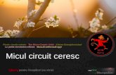 Micul circuit ceresc - Picolo circolo celeste - The Micro-Cosmic Orbit - Kleiner Energiekreislauf -  La petite circulation céleste - Малый небесный круг