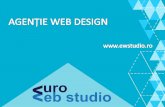 Prezentare euro web studio