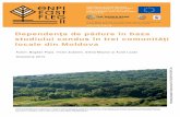 Dependența de pădure în baza studiului condus în trei comunități locale din Moldova