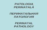 10. patologia perinatala..ppt;filename_= utf-8''10. patologia perinatala.