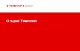 Prezentare: Despre grupul Teamnet International