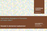 Cumpanasu & Dejescu (Societate civila de avocati)