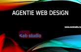 Euro Web Studio - Agentie web design