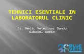 Gabriel Sorin Sandu - Tehnici esențiale în laboratorul clinic