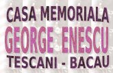 Memorial house George Enescu.
