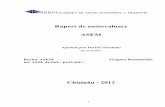 Raport de autoevaluare ASEM Chişinău - 2012