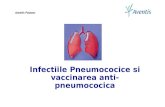 Infectiile Pneumococice si vaccinarea anti-pneumococica